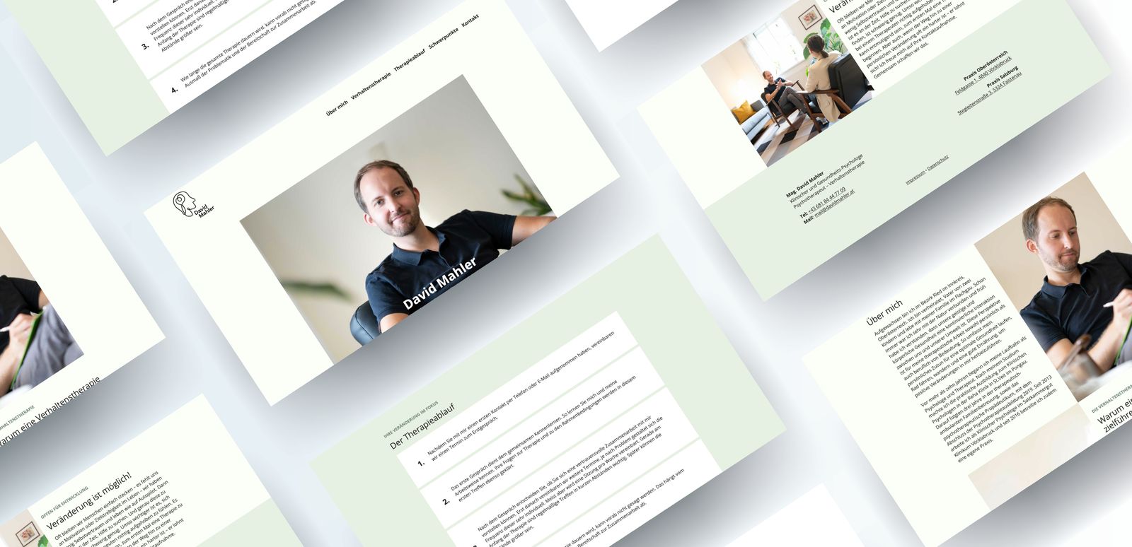 Projekt-Bild von David Mahler - Relaunch mit nachhaltiger Basis